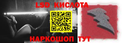прущие грибы Кандалакша