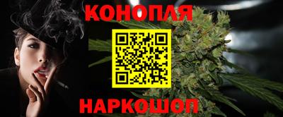 прущие грибы Кандалакша