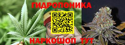 прущие грибы Кандалакша