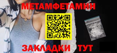 прущие грибы Кандалакша